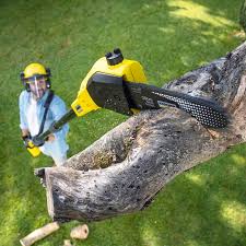 Best Organic Lawn Care Solutions  in Gallipolis, OH